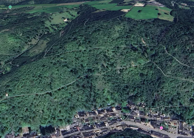 Braubach