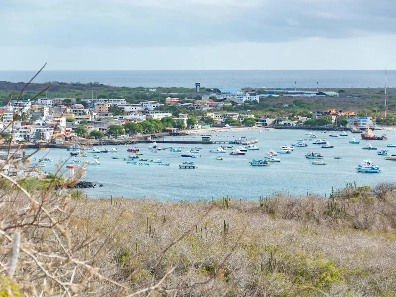 Isla Daphne, Galapagosinseln