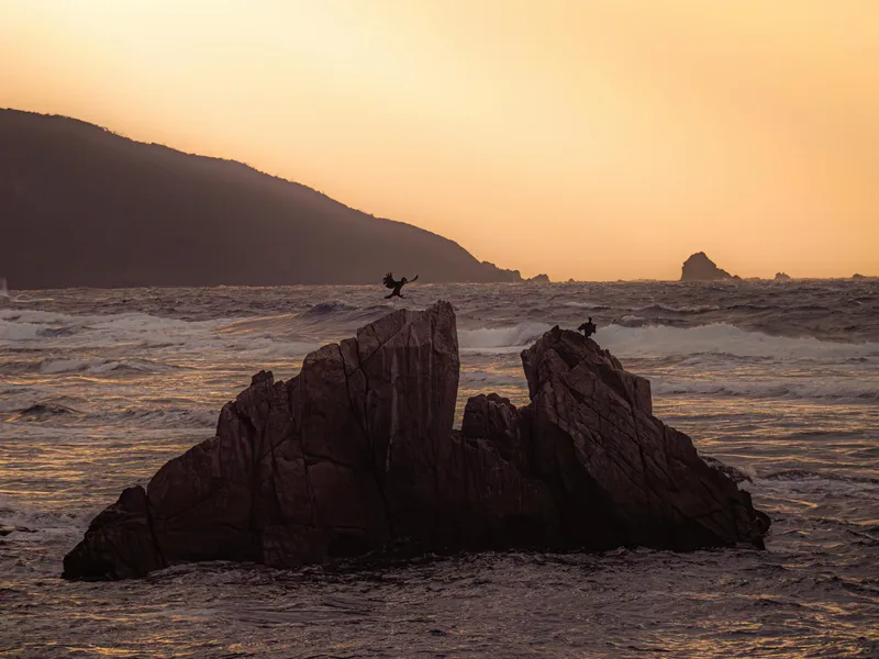 Naze, Amami Oshima Island