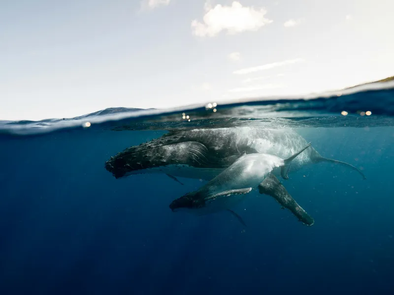 Nuku'Alofa, Tongatapu (Tonga)