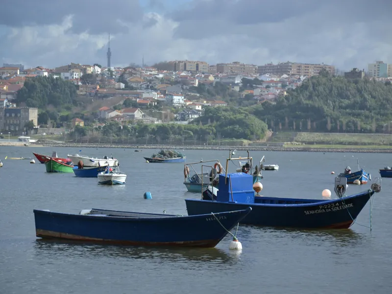 Pinhão