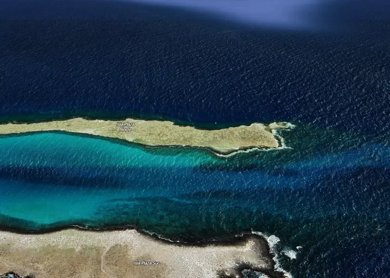 South Plaza, Isla Santa Cruz; Galapagosinseln
