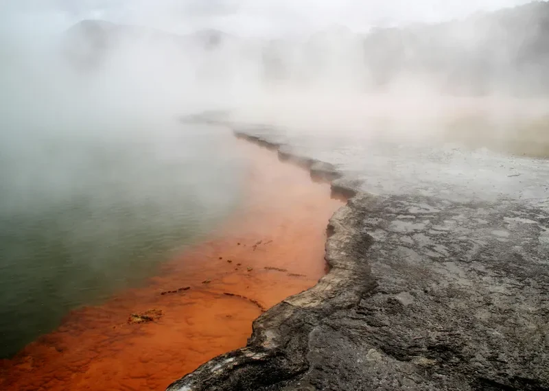 Tauranga (Rotorua)