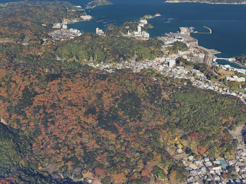 Toba