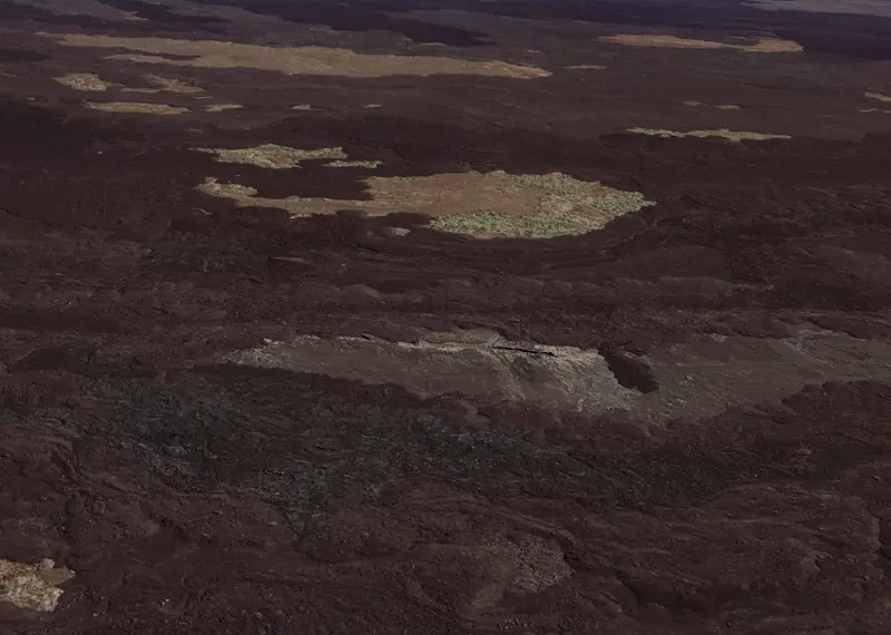 Urvina Bay, Isla Isabela; Galapagosinseln