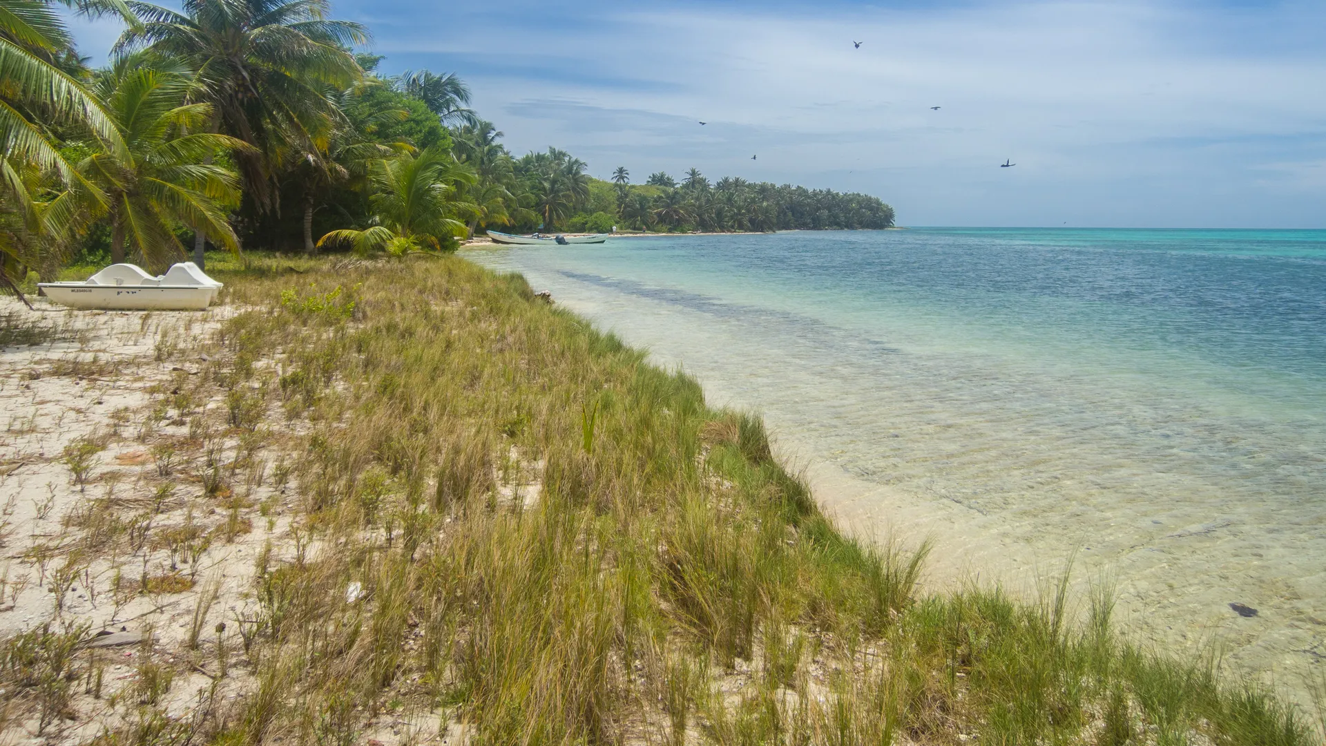 Half Moon Caye
