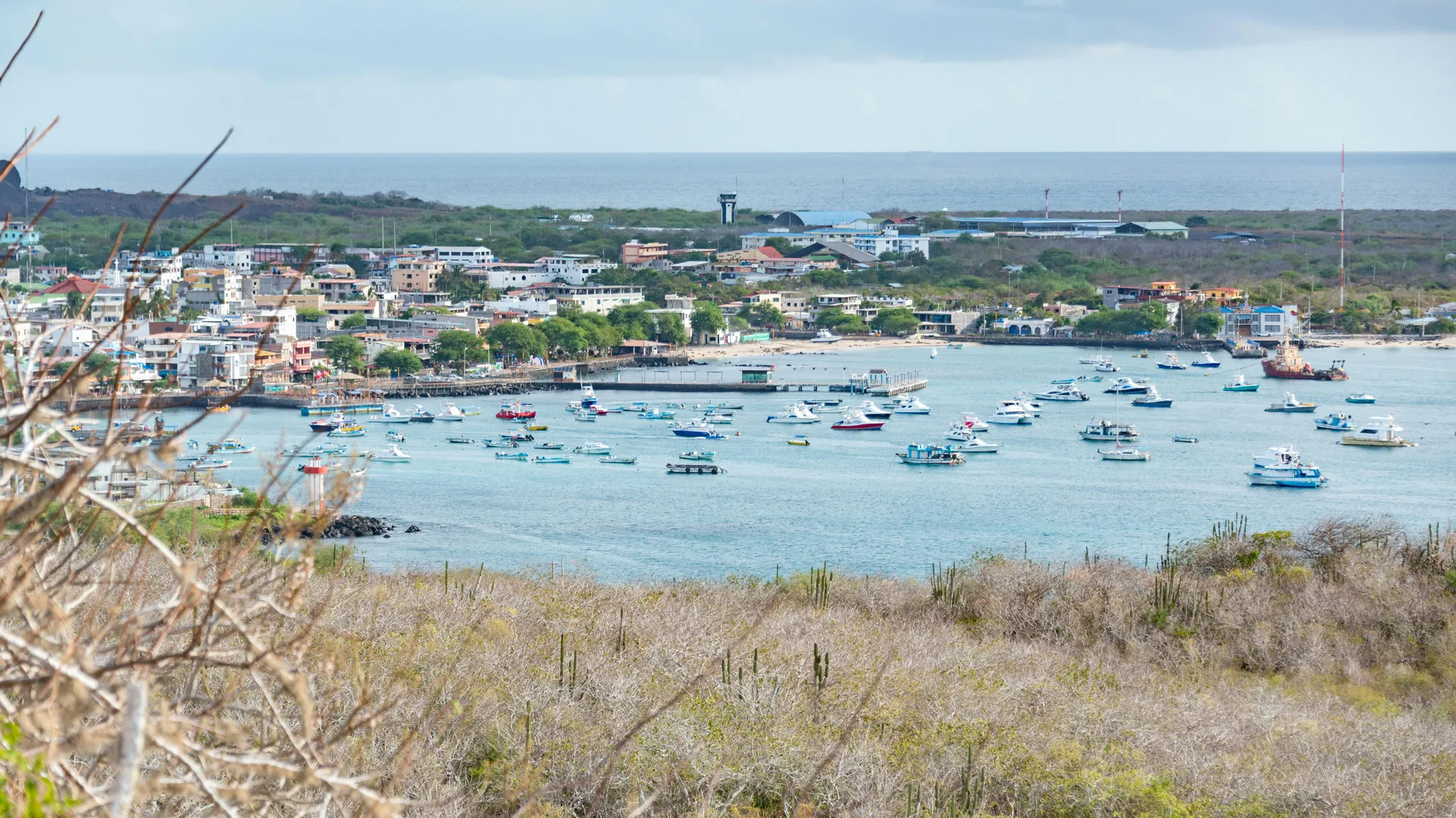 Isla Daphne, Galapagosinseln