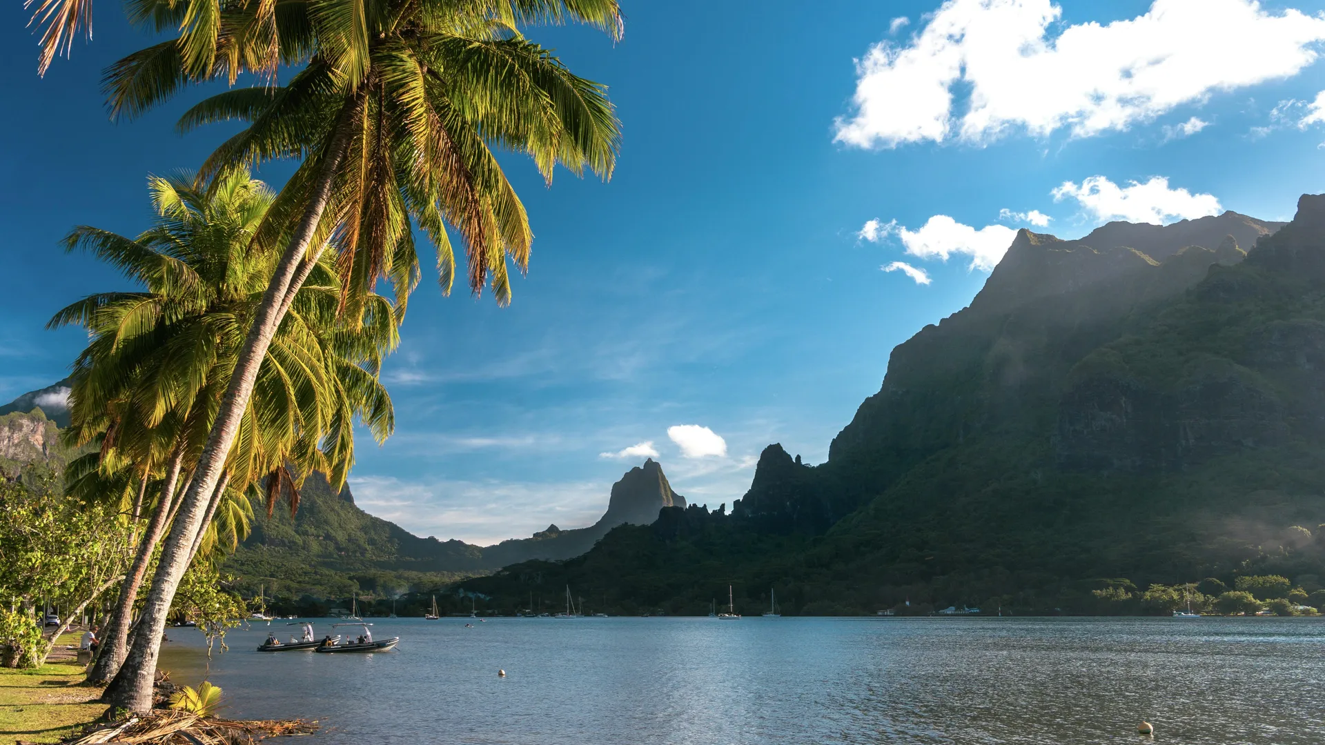 Opunohu Bay, Moorea, Gesellschaftsinseln