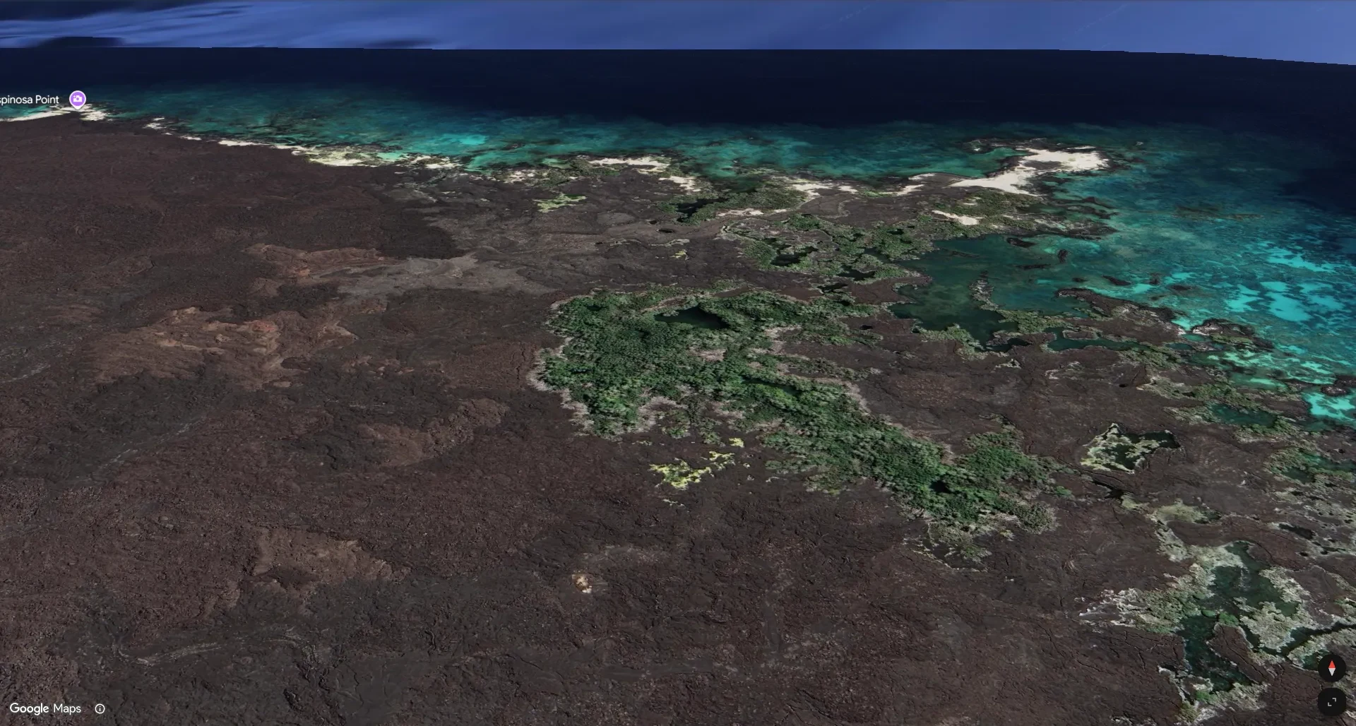 Punta Espinoza, Isla Fernandina; Galapagosinseln