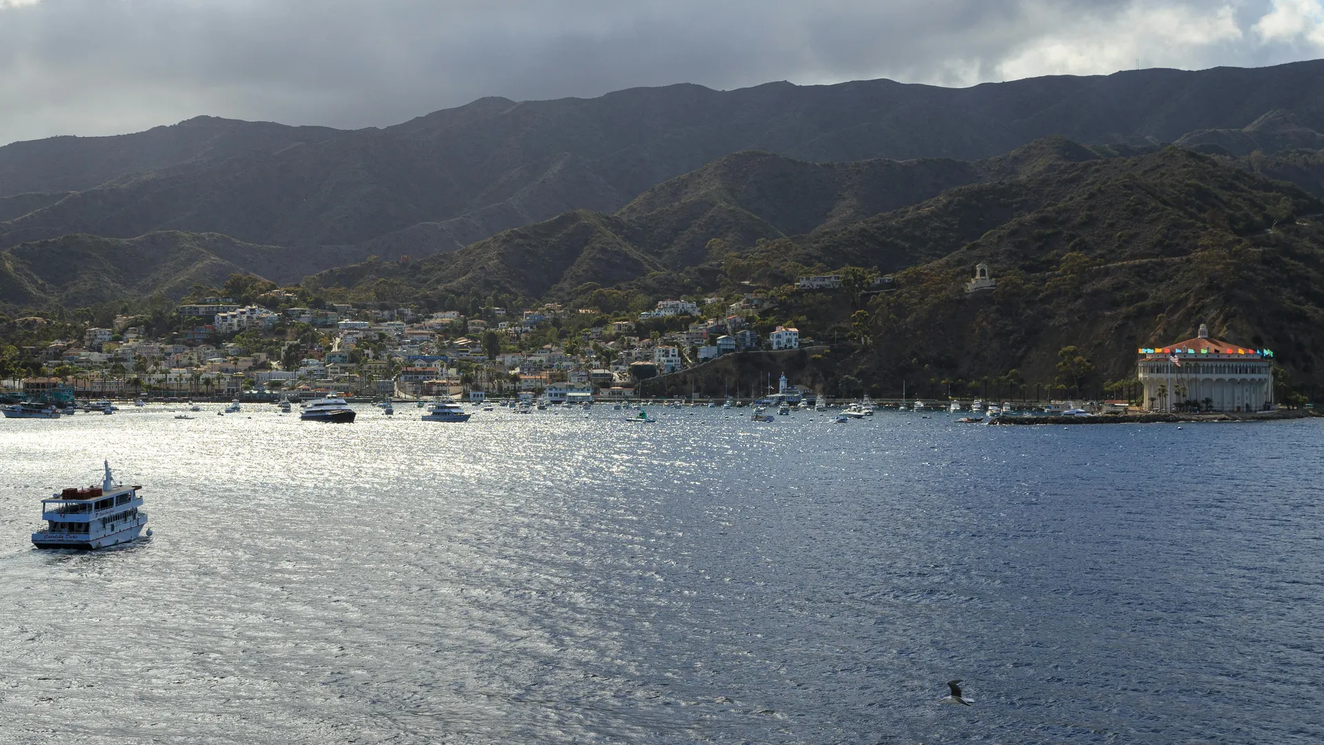 Santa Catalina Island, Kalifornien