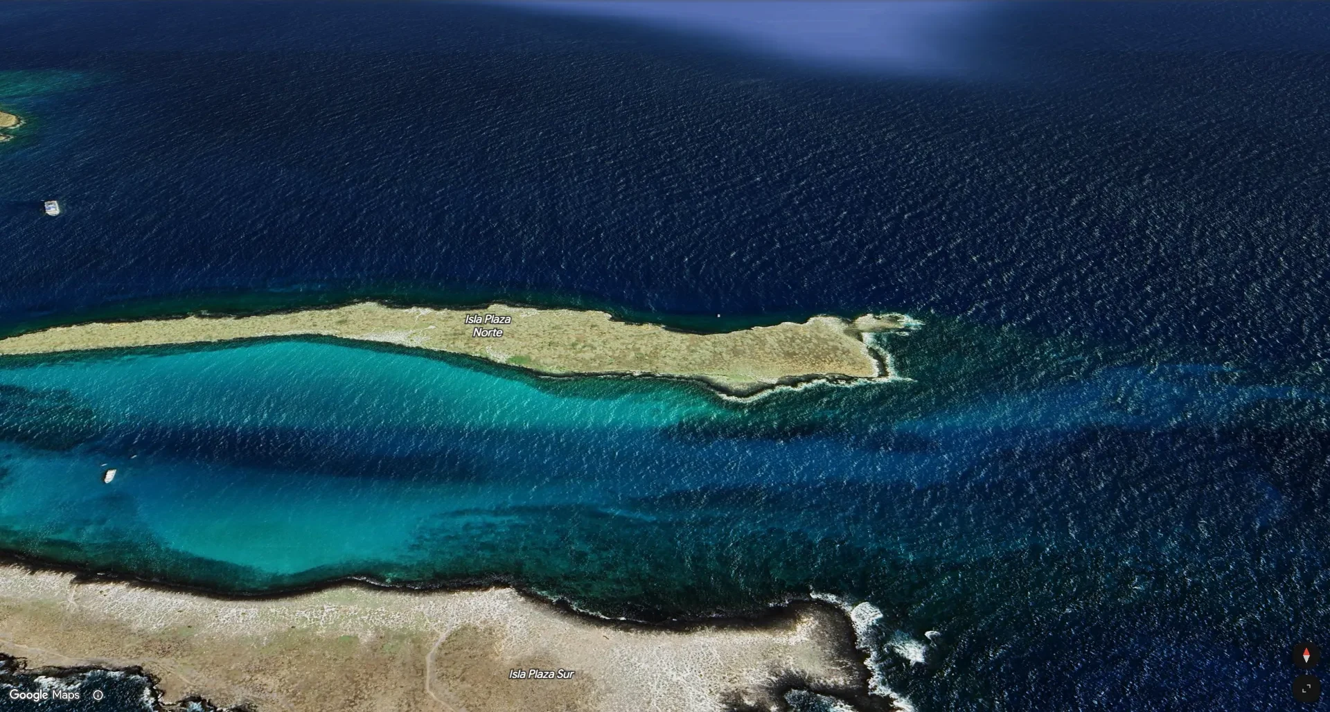 South Plaza, Isla Santa Cruz; Galapagosinseln