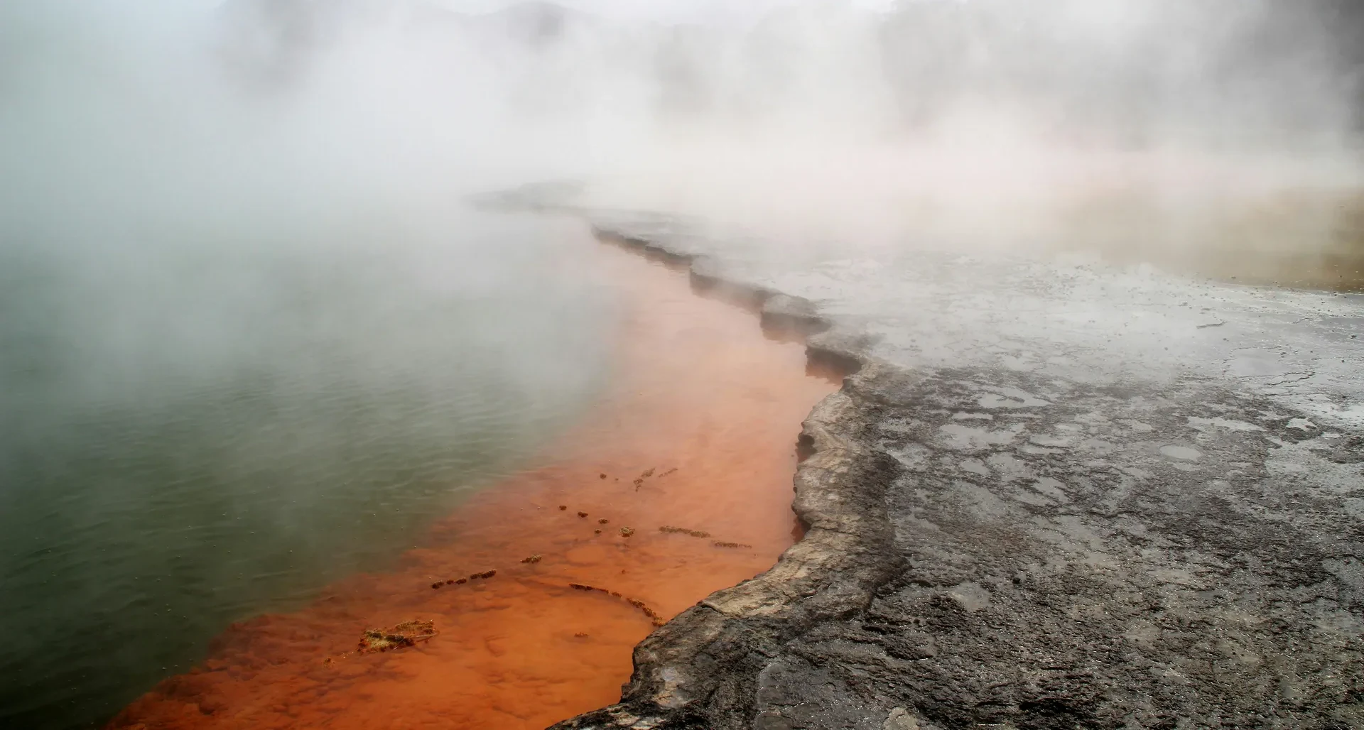 Tauranga (Rotorua)