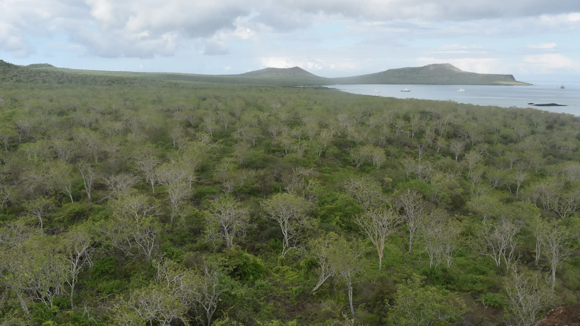 Bahia Post Office, Isla Floreana; Galapagosinseln