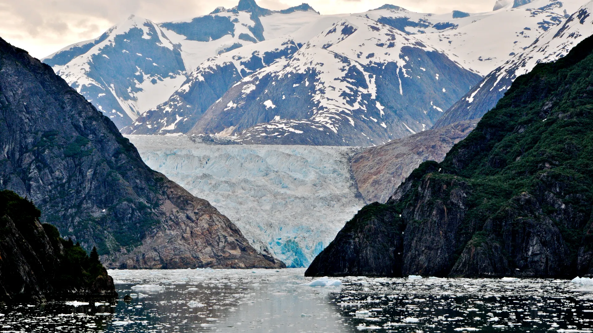 Tracy Arm Fjord, Alaska/USA