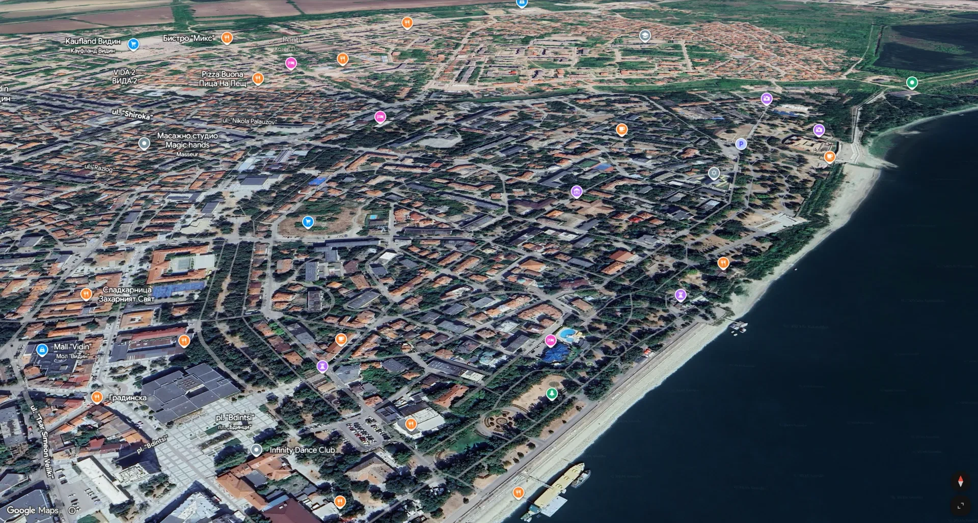 Vidin