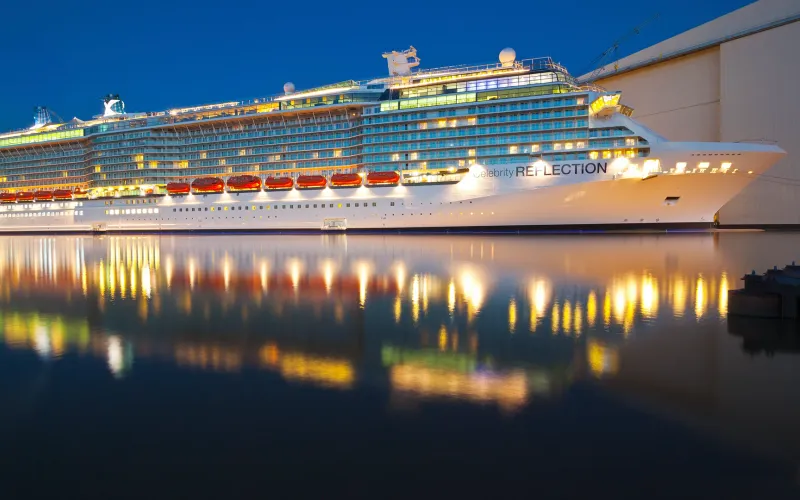 Celebrity Reflection
