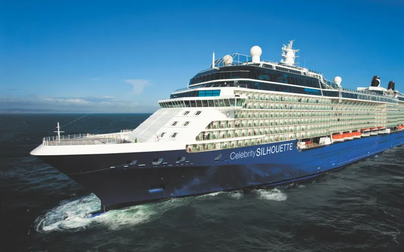 Celebrity Silhouette