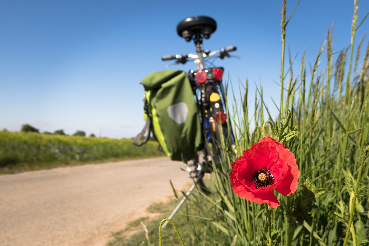 Bike & Cruise: Radreisen auf dem Wasser