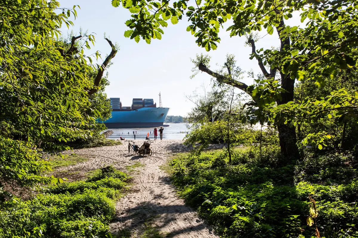 Ein Sandweg in Hamburg führt durch grüne Bäume zum Strand, wo Menschen ein vorbeifahrendes Containerschiff beobachten.