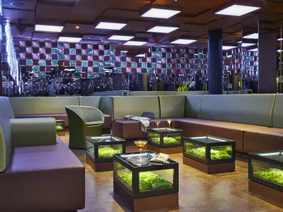 Moderne Bar-Lounge der AIDAnova. Bequeme Sitzbänke, stylische Glastische mit Moos. Zwei Cocktails. Dekorative Wand mit Lichtern und Spiegeln.