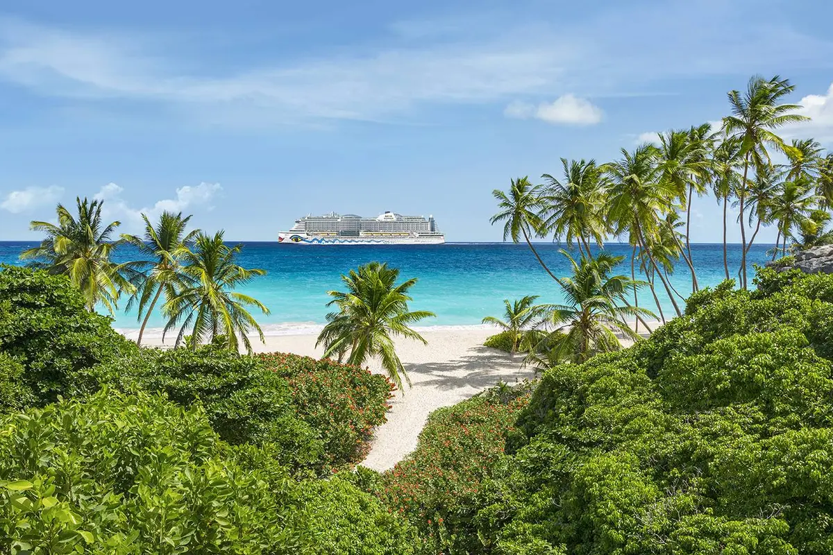 Die AIDAperla auf dem türkisfarbenen Meer vor einem karibischen Strand, umgeben von Palmen und tropischer Vegetation unter blauem Himmel.