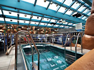Glänzender Whirlpool in überdachtem Bereich der Carnival Glory. Moderne Handläufe, felsartige Wanddekoration unter blauem Glasdach. Eine Rettungsboje ist sichtbar.