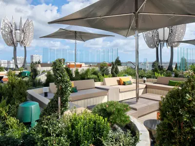 Die grüne Dachterrasse der Celebrity Ascent zeigt entspannte Lounge-Sitzbereiche, große Sonnenschirme und moderne Skulpturen. Im Hintergrund sind Stadt und Meer unter blauem Himmel zu sehen.
