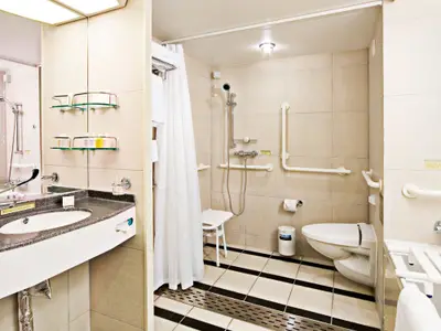 Das barrierefreie Badezimmer einer Suite an Bord der Eurodam mit Haltegriffen, Duschsitz und WC.