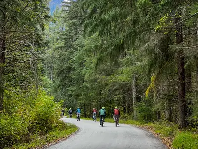 Gäste der Koningsdam fahren mit Fahrrädern auf einem Weg durch die dichten grünen Wälder von Alaska.