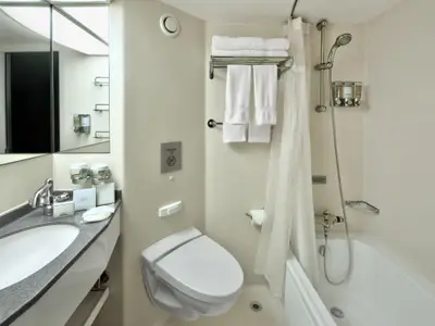 Das funktionale und helle Badezimmer einer Spa-Außenkabine an Bord der Nieuw Amsterdam mit Waschbecken, Toilette und Badewanne.