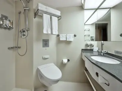 Ein sauberes, modernes Badezimmer in einer Kabine an Bord der Nieuw Amsterdam mit Toilette, Dusche und Waschbecken.