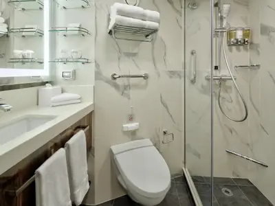 Blick in ein barrierefreies Badezimmer an Bord der Rotterdam mit hellen Marmorfliesen, Toilette, Haltegriffen und Dusche.