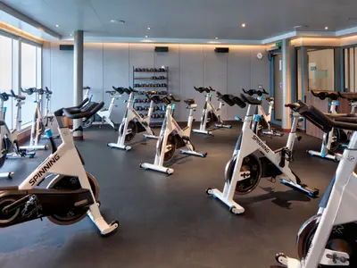 Moderne Spinning-Bikes im hell erleuchteten Fitnessstudio an Bord der Rotterdam mit Blick nach draußen.