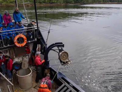 Passagiere der Westerdam beobachten die Crew bei einem Landausflug in Ketchikan, Alaska, auf einem Fischerboot.