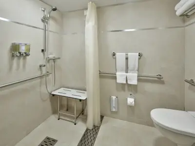 Das barrierefreie Badezimmer an Bord der Zuiderdam verfügt über einen klappbaren Duschsitz, Haltegriffe und Handtücher.