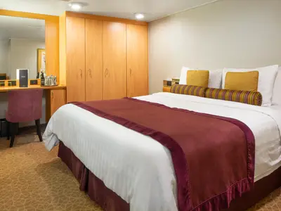 Innenansicht einer gemütlichen Kabine an Bord der Zuiderdam mit gemachtem Bett, Holzmöbeln und einem Schreibtisch mit lila Stuhl.