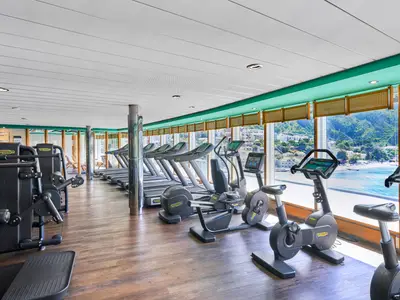 Modernes Fitnessstudio der MSC Armonia. Technogym-Geräte vor Panoramafenstern zeigen eine bergige Küstenlandschaft, Strand und Meer. Holzboden, helle Decke.