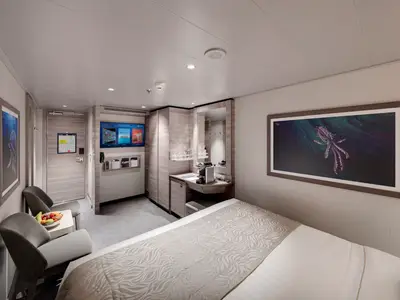 Moderne Suite der MSC Euribia. Grosses Doppelbett, Schreibtisch mit Kaffeemaschine, Spiegel und Sitzbereich mit Obstschale. Helle Einrichtung mit Holz und Kunst.