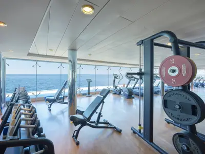 Modernes Fitnessstudio an Bord der MSC Lirica mit Technogym-Geräten, Holzboden und Panoramablick auf das Meer. Keine Personen sichtbar.