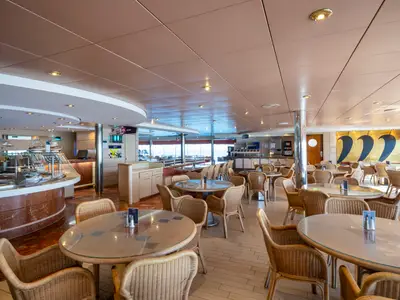 Innenansicht des hellen Le Vele Buffet-Restaurants an Bord der MSC Opera mit vielen runden Tischen, Korbstühlen und einem langen Buffetbereich links. Große Fenster im Hintergrund bieten Meerblick.