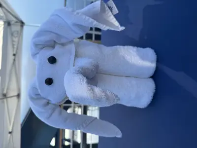 Ein kunstvoll gefaltetes Handtuch-Tier in Form eines Elefanten mit Knopfaugen an Bord der MSC Preziosa.