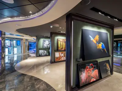Moderne Kunstgalerie an Bord der MSC Seashore mit großformatigen Tierfotografien, darunter Papageien und Flamingos. Heller Gang mit glänzenden Böden und Geschäften.