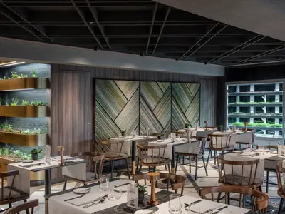 Ansicht des modernen Spezialitätenrestaurants Chef's Garden Kitchen an Bord der MSC World Europa, mit Tischen und Stühlen, einem vertikalen Garten an der Wand und beleuchteten Pflanzenvitrinen.