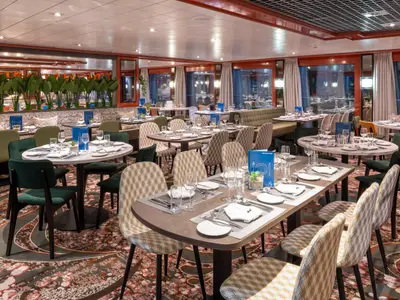 Innenansicht des Restaurants auf dem Flusskreuzfahrtschiff Belvedere. Viele gedeckte Tische mit Stühlen und Bänken. Große Fenster, Pflanzen und ein gemusterter Teppich schaffen das Ambiente.