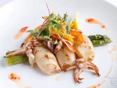 Ein Teller mit gegrilltem Calamari an Bord der MS Andrea, garniert mit bunten Paprikastreifen, frischen Sprossen, Spargelstangen, einer Zitronenspalte und feinen Saucenklecksen auf weißem Geschirr.
