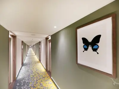 Blick in den langen Kabinengang der MS Antonia. Rechts ein gerahmtes Bild eines schwarzen Schmetterlings mit blauen Flügeln an einer grünen Wand. Der Teppich ist gelb-grau gemustert. Türen reihen sich auf beiden Seiten.