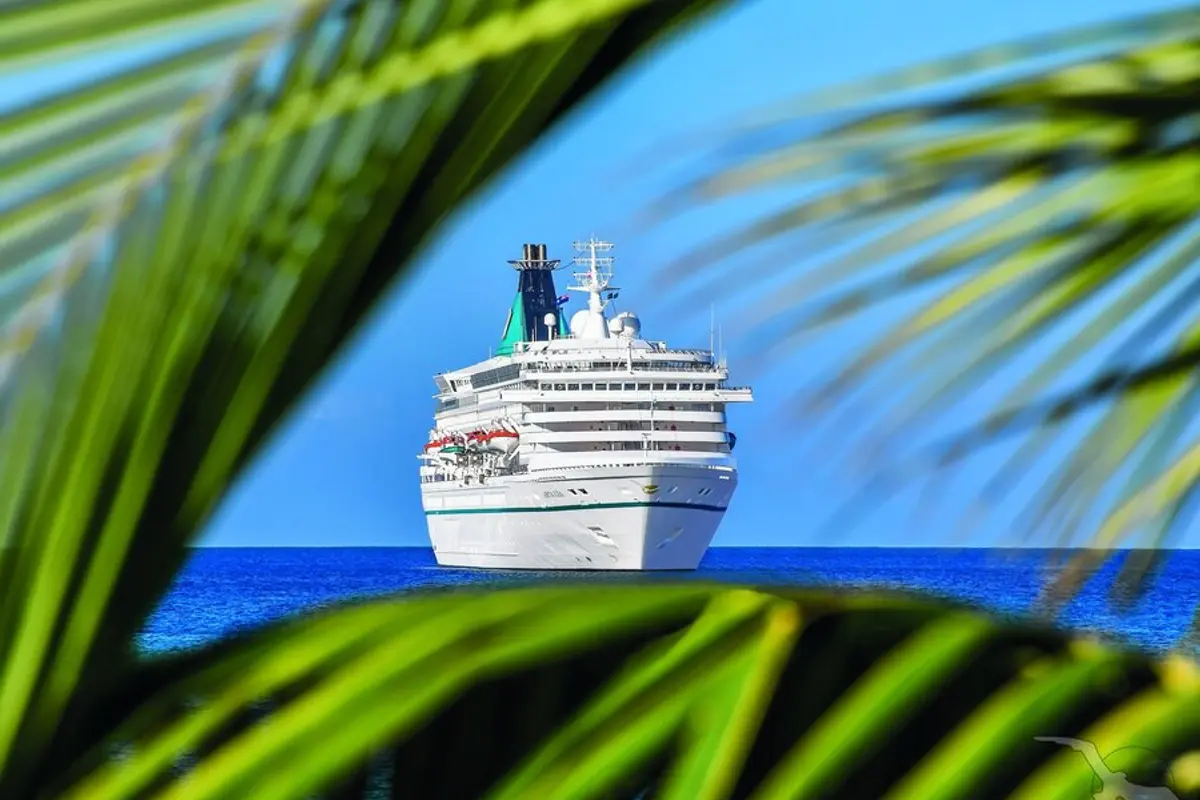 Die MS Artania schwimmt auf dem tiefblauen Meer unter einem klaren blauen Himmel, umrahmt von den unscharfen grünen Blättern einer Palme im Vordergrund.