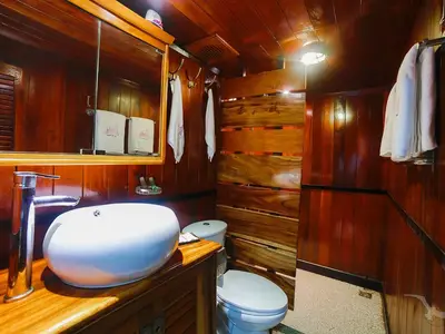 Modernes Badezimmer einer Kabine an Bord der MS Lan Diep. Es zeigt ein ovales weißes Waschbecken, einen verchromten Wasserhahn und einen Spiegel, umgeben von warmem, poliertem Holz. Handtücher hängen an Haken.
