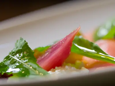 Eine Makro-Aufnahme eines elegant angerichteten Gerichts mit einer dünnen Scheibe rosa Tomate, glänzenden grünen Blättern mit Oeltropfen und cremigem weißen Ricotta. Der Hintergrund ist unscharf.