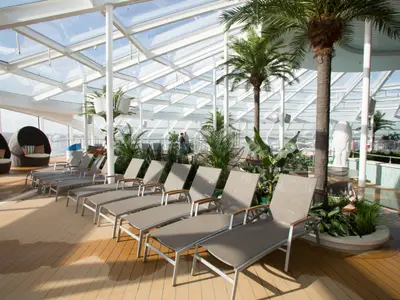 Der lichtdurchflutete Innenbereich der Quantum of the Seas zeigt Liegestühle, Palmen, tropische Pflanzen und ein Wasserbecken unter einem Glasdach. Der Holzboden ist teils feucht, mit viel Tageslicht.